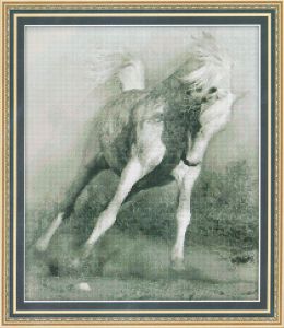 0111 - Белый конь
