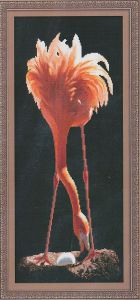 0121 - Фламинго