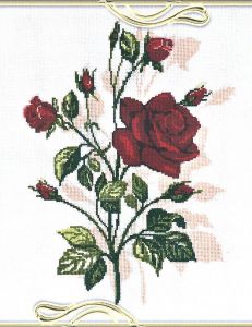 1159 - Роза