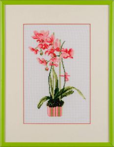 1163 - Сиреневая орхидея