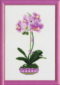 1163 - Сиреневая орхидея