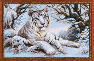 1184 - Бенгальский тигр