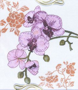 1214 - Орхидея