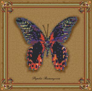 1НБис-013арт - Коллекция бабочек