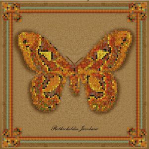 1НБис-015арт - Коллекция бабочек