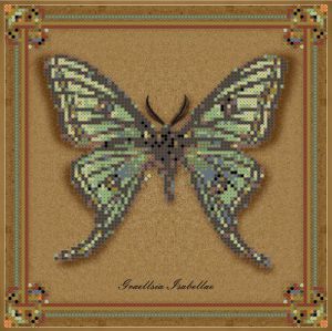 1НБис-016арт - Коллекция бабочек