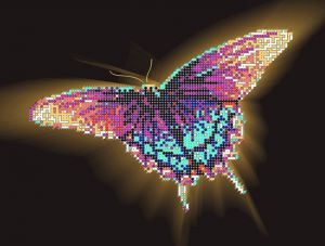 1НЦ-004 - Бабочка Парусник