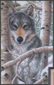 3228 - Зимний волк