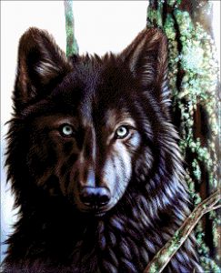 33-2576-НК - Канадский волк