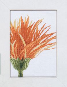 35052a - Оранжевый цветок