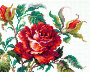 40-65 - Красная роза