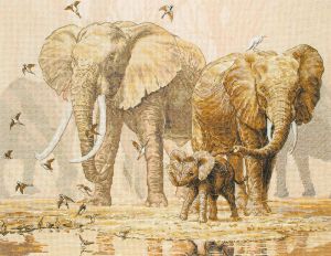5678-1197 - Африканские слоны и капские горлицы