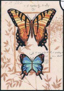 6234 - Дуэт бабочек