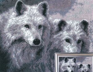 678 - Белые волки