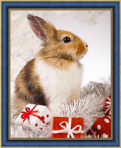 АЖ-4163 - Кролик и подарки