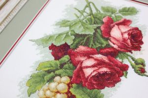 b2229 - Красные розы с виноградом