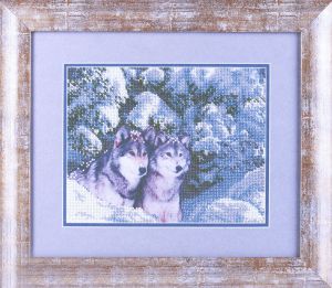 bn-1091 - Пара волков в лесу