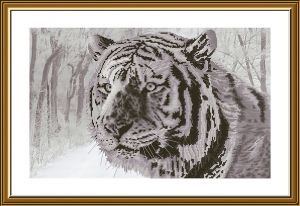 CB3215 - Бенгальский тигр