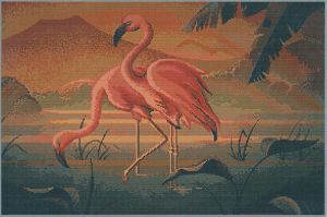 g339 - Пара фламинго