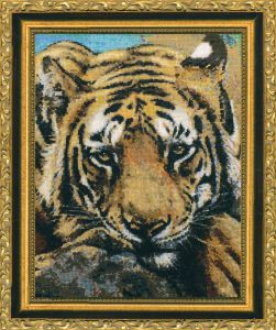jw-005 - Сибирский тигр