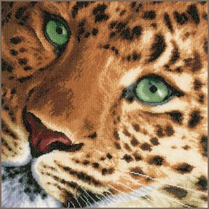 pn-0155213 - Леопард