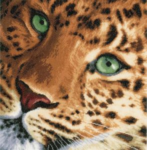 pn-0155213 - Леопард
