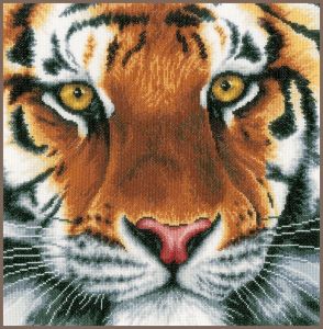 pn-0156010 - Тигр