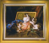 Коробка с котятами