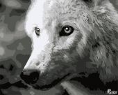 Белый волк (Уценка)