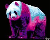 Неоновая панда (Уценка)