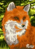 Рыжая лисичка (Уценка)