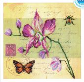 Почтовая открытка - Орхидея