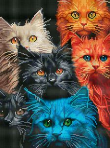 007-DM - Котовасия