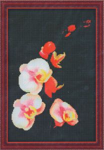0118 - Розовая орхидея
