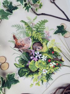 03.010.30 - Крапивники