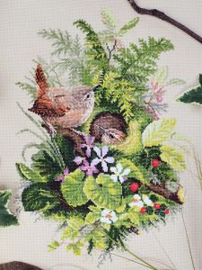 03.010.30 - Крапивники