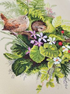 03.010.30 - Крапивники