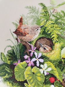 03.010.30 - Крапивники