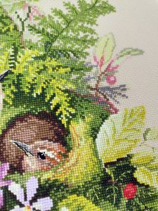 03.010.30 - Крапивники