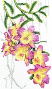 04.004.16 - Орхидеи