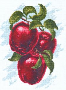04.005 - Спелые яблоки