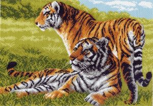 617 - Бенгальские тигры