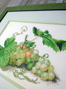 06.001.18 - Ветка винограда
