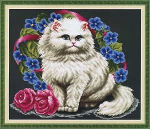 110805 - Персидская кошка