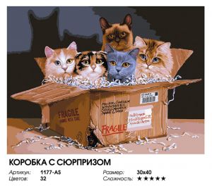 1177-AS - Коробка с сюрпризом