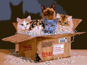 1177-AS - Коробка с сюрпризом