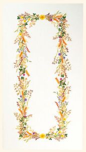 12-4582 - Кукуруза