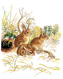 12-972 - Три кролика