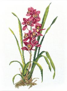 14-155 - Красная орхидея