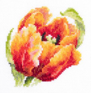 150-010 - Красный тюльпан